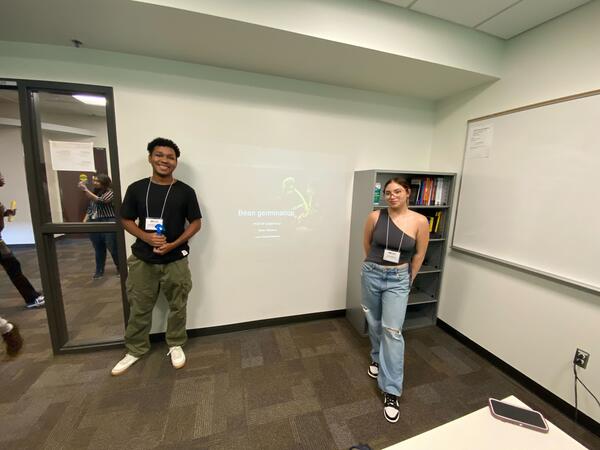 Two people standing on either side of a projected presentation on a wall.