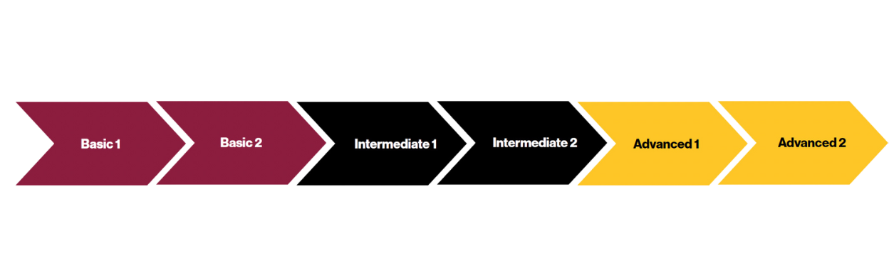 Graphic of class levels